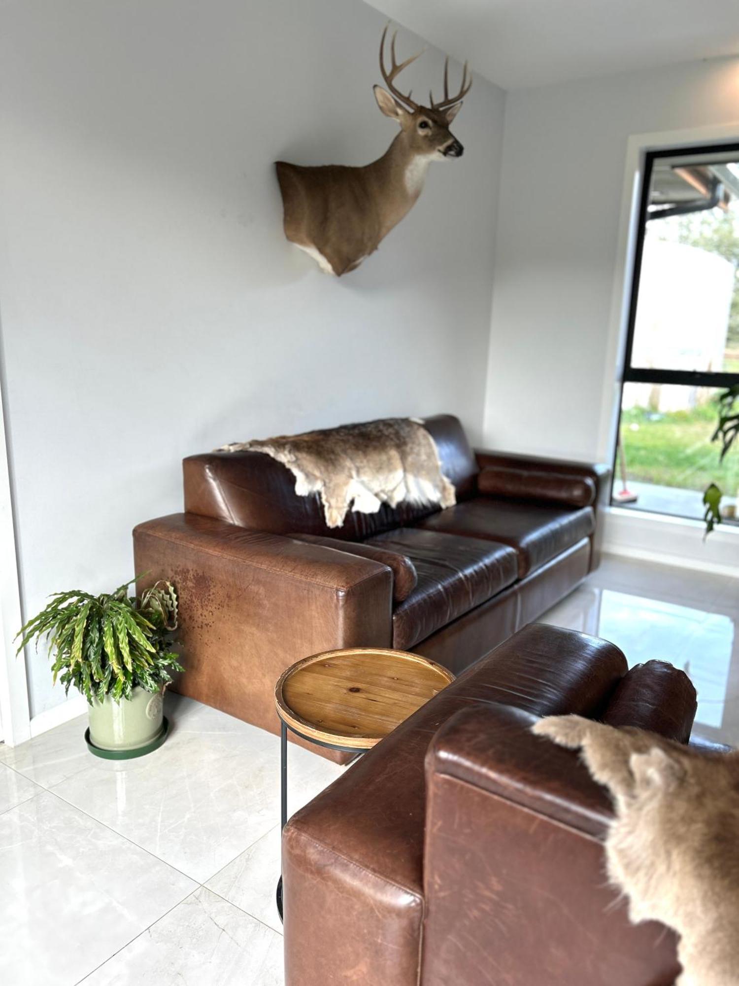 Tarras Serenity Haven - Mountain Views And Calm Exterior foto